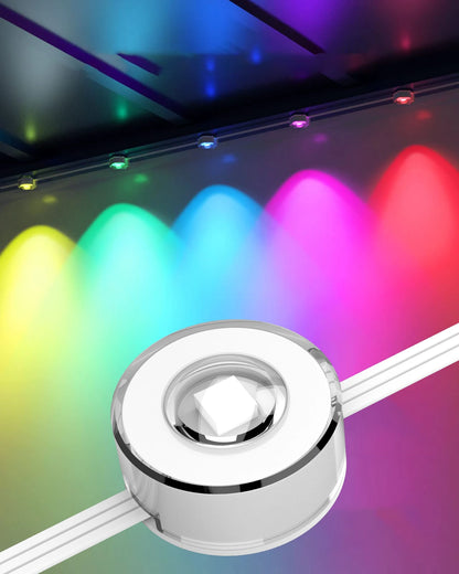 Smart WIFI RGBIC Eaves Lights